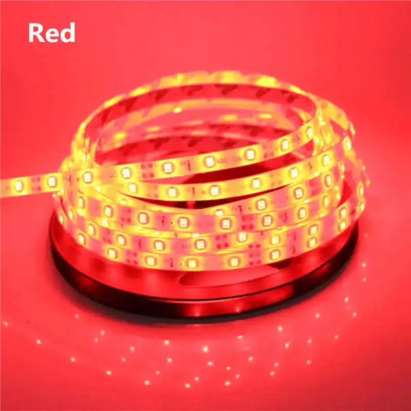 2835 SMD led streifen licht DC12V 5M 300LEDs flexible band band beleuchtung Weiß Warm weiß Rot Grün Blau gelb Rosa RGB       PST PS Tradings