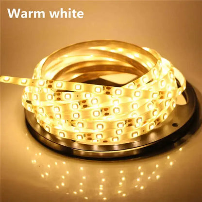 2835 SMD led streifen licht DC12V 5M 300LEDs flexible band band beleuchtung Weiß Warm weiß Rot Grün Blau gelb Rosa RGB       PST PS Tradings