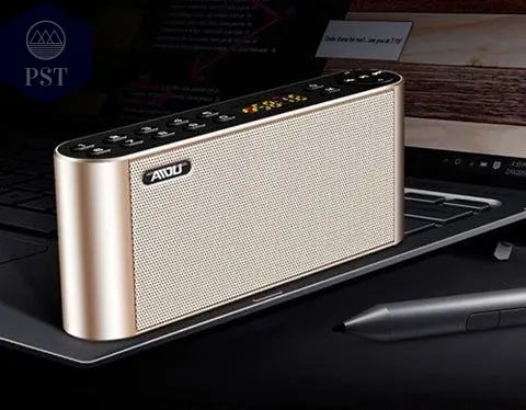 Portable Wireless HiFi Bluetooth Speaker with Microphone      Nearest-Warehouse-Gold PST PS Tradings